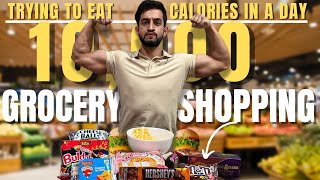 Eating 10000 Calories In A Day Challenge  Grocery Shopping  Vlog 02 [upl. by Amitaf]