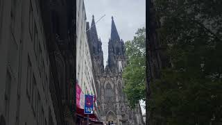 Köln Dom 🇩🇪 travel [upl. by Satterfield130]