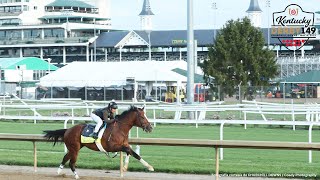 Kentucky Derby 149  Análisis EN VIVO [upl. by Lleda392]