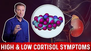 Low vs High Cortisol Levels Symptoms Explained By DrBerg [upl. by Deibel]