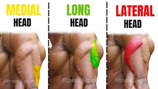 9 BEST TRICEPS EXERCISES AT THE GYM  LATERAL HEAD  LONG HEAD  MEDIAL HEAD [upl. by Nidnal]