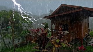 Heavy Rain with Thunder ASMR Ultimate Sleep and Stress Relief  Rain Carnation [upl. by Hoes]