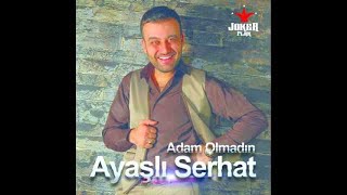 Ayaşlı Serhat  Arabaya Sen bin [upl. by Gamages]