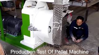 How Does the Bentonite Cat Litter Pellet Machine Make Pellets [upl. by Rainger18]