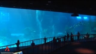 Worlds largest oceanarium in Singapore [upl. by Aidil]