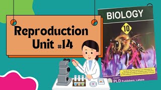 Sexual reproduction in plants  Alternation of generation  class 10th Biology  Reproduction [upl. by Enobe]