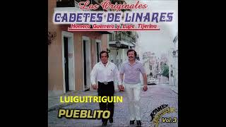 Los Cadetes De Linares mix de puras buenas Vol 2 Lupe Y Homero [upl. by Anoirb]