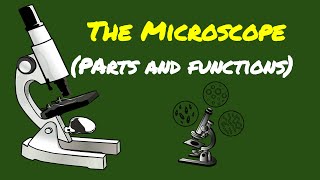 SCIENCE 7 PARTS OF THE MICROSCOPE AND THEIR FUNCTIONS [upl. by Leunam763]