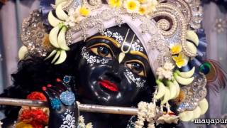 Sri Sri Radha Madhava Mandir  ISKCON Mayapur [upl. by Notsla182]