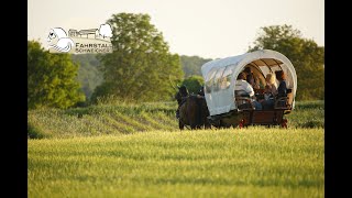 Wanderfahren  unterwegs mit Pferd und Wagen [upl. by Ynittirb]