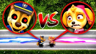 DRONE CATCHES CHASE amp SKYE FROM PAW PATROL THEY FOUGHT [upl. by Ardried]