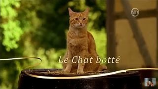 Les contes de Grimm Le Chat Botté [upl. by Faria688]