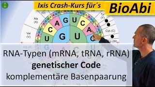 RNATypen mRNA tRNA rRNA Genetischer Code und Komplementäre Basenpaarung  Anwendungsaufgaben [upl. by Anahcar971]