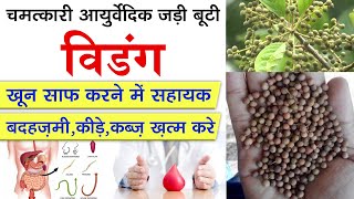 पेट के कीड़ों और खून साफ़ के लिए विडंग के फायदे I Vidang  An Ayurvedic Herb For Blood Purification [upl. by Airahs]