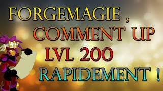 Les métiers de forgemagie  Up lvl 200 Rapidement  Dofus [upl. by Hsekin851]