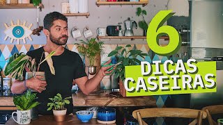 6 DICAS CASEIRAS para cuidar das suas PLANTINHAS [upl. by Einattirb343]