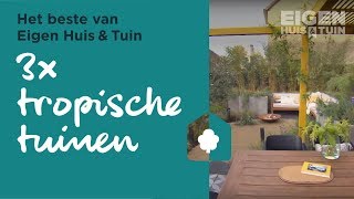 3x tropische tuin  Het beste van Eigen Huis amp Tuin [upl. by Attiuqal]