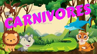 What is an Omnivore  Science for Kids [upl. by Ynnattirb]