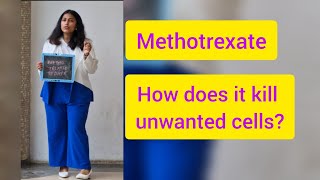 How does methotrexate kill unwanted cells or ectopic pregnancy [upl. by Blinnie]