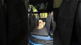 Dog Car Seat Cover for Back Seat [upl. by Destinee]