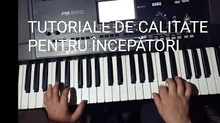 TUTORIAL COACE DOAMNE PRUNELE Petrică mâțu Stoian🎹 [upl. by Aileme]