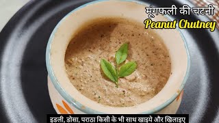 Peanut Chutney Recipe  मूंगफली की चटनी  Peanut Chutney for Idli Dosa and parantha  groundnut [upl. by Eimareg]