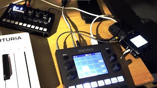 The machines lament  Korg NTS1 MK2 and 1010music Blackbox jam [upl. by Inavihs]