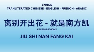 PARTING BLOOMS  Jiu Shi Nan fang Kai Transliterated Chinese English French amp Arabic Lyrics [upl. by Yellat]