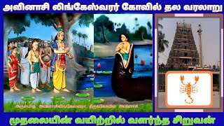 அவினாசி லிங்கேஸ்வரர் கோவில் தல வரலாறு  Avinashi Lingeshwarar Temple  Thurumurugan poondi [upl. by Allina]