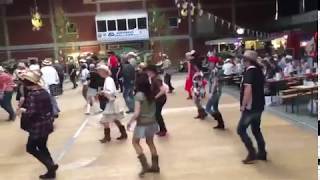 quotMadison Oldsquot Beginner Line Dance Ole Jacobson amp Nina K 0419 [upl. by Nocaed601]