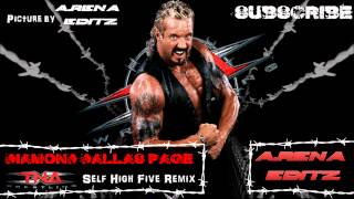 DDP TNA Theme Self High Five RemixDownload Link [upl. by Kred]