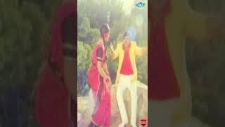 Chilipiliguttuva Hakkiya Video Song  Pathala Mohini  Vanishree Prathimadevi  Kannada Old Songs [upl. by Ynttirb]