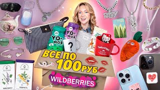 100 ТОВАРОВ по 100 РУБЛЕЙ с WILDBERRIES Товары Для Дома Вкусняшки Аксессуары Одежда Канцелярия [upl. by Daigle487]