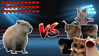 Giant Capybara vs All Cats Meme battle [upl. by Yrgoerg]