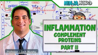 Immunology  Inflammation Complement Proteins Part 3 [upl. by Katlaps]