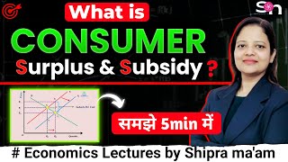 Effect Of Subsidy On Consumer Surplus  Microeconomics  Shipranomics [upl. by Zoie]