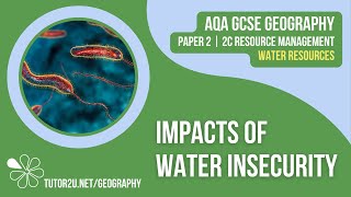 Impacts of Water Insecurity AQA GCSE Geography  Water 3 [upl. by Poulter]