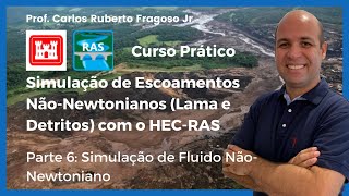 Simulação de Escoamento de Fluidos NãoNewtoniano Parte 6 Simulação de um Fluido NãoNewtoniano [upl. by Penn]