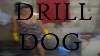 Drill Dog  The Disgusting Video Of A Puppys Final 10 Minutes [upl. by Aivatnuhs]