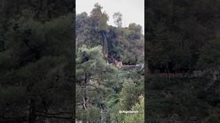 👩🏼‍🤝‍👨🏻MersinSunturas Şelalesi turkey natural travel trekking waterfall [upl. by Amanda629]