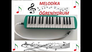 Melodika Eğitim Videosu Ders 1  Melodika çalma teknikleri ve Ağaçkakan Şarkısı [upl. by Gloria]