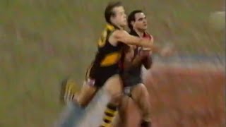 1995 AFL Round 15  Richmond vs Essendon [upl. by Ylram]