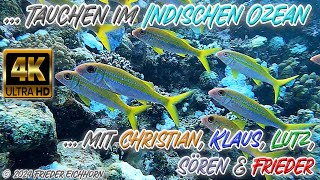 Tauchen im Indischen Ozean 🐡 🐠 🦞 [upl. by Onitram]