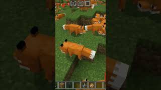 Minecraft crash test minecraft gaming akgaminga99 [upl. by Certie]