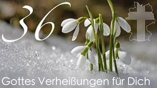 Gottes Verheißungen für Dich  Johannes 1028  Videokalender 36365  Deutschland braucht JESUS [upl. by Ericha175]