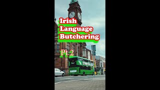 Why the Irish Language is More Important Than Ever ireland irelandvlogs [upl. by Mila]