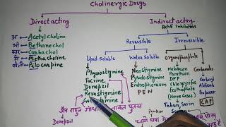 Cholinergic Drugs [upl. by Kramlich]