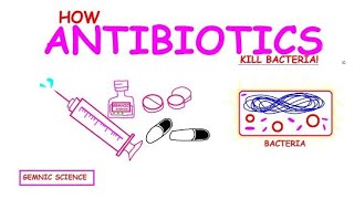 Antibiotics Explained How They Kill Bacteria and Fight Infectionsquot [upl. by Aynna]