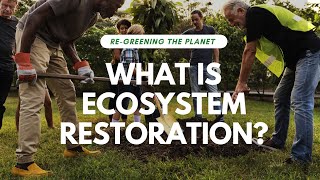 What is Ecosystem Restoration  Regreening the Planet Part 2 [upl. by Nemaj54]