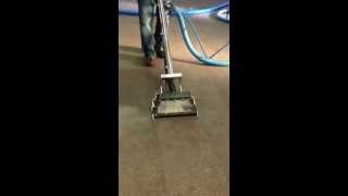 Carpet cleaning satisfying ocd cleaning Turlock [upl. by Christis715]